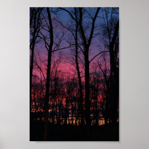 Affiche Coucher de soleil du Midwest à travers les arbres