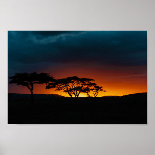 Affiche Coucher de soleil du Serengeti