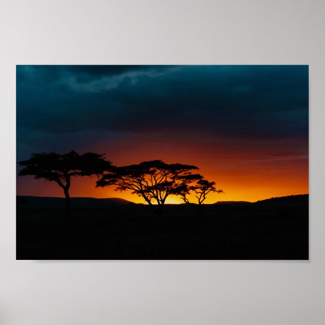 Affiche Coucher de soleil du Serengeti (Devant)
