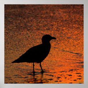 Affiche Coucher de soleil en cuivre