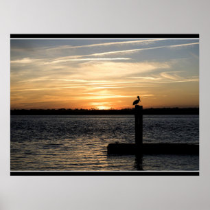 Affiche Coucher de soleil en Floride avec pélican