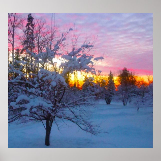 Affiche Coucher de soleil en hiver (Devant)