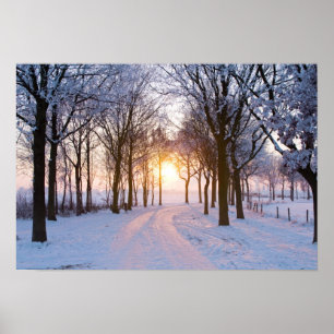 Affiche Coucher de soleil en hiver