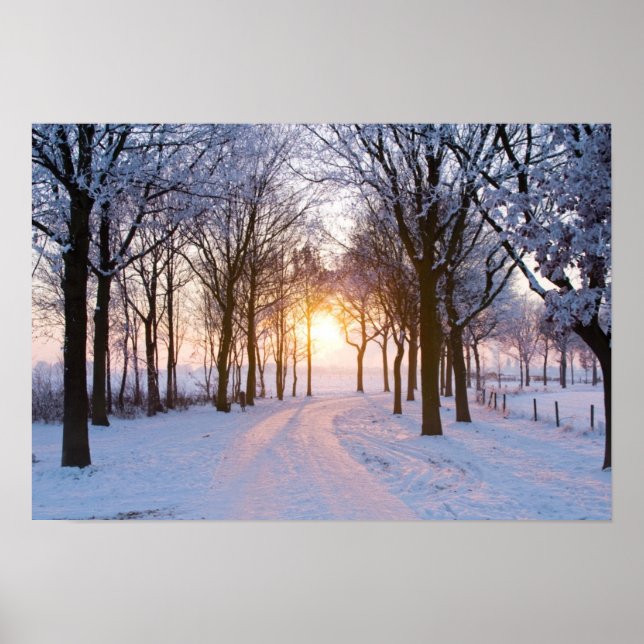 Affiche Coucher de soleil en hiver (Devant)