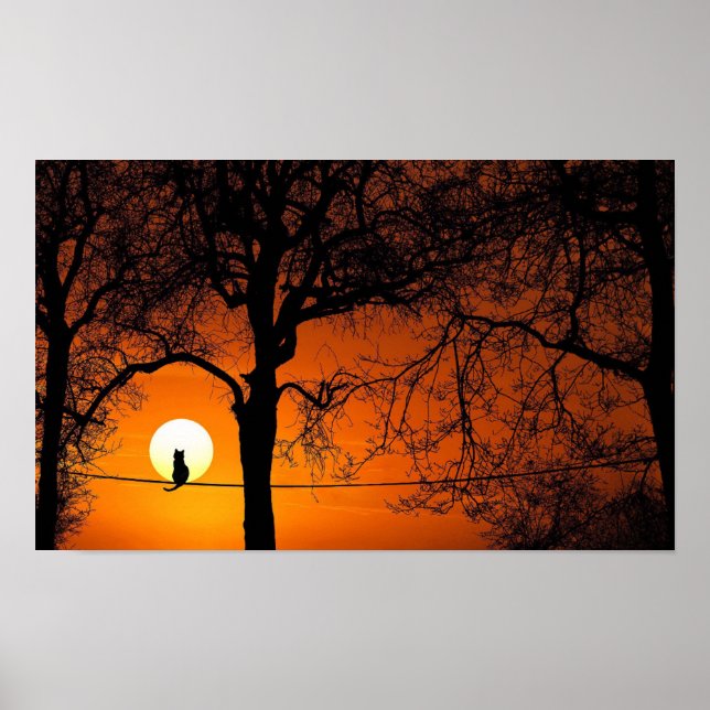 Affiche Coucher de soleil en silhouette de chat noir (Devant)