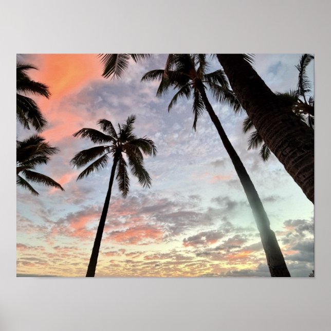 Affiche Coucher de soleil hawaïen (Devant)
