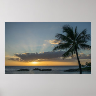 Affiche Coucher de soleil magnifique sur la plage avec des