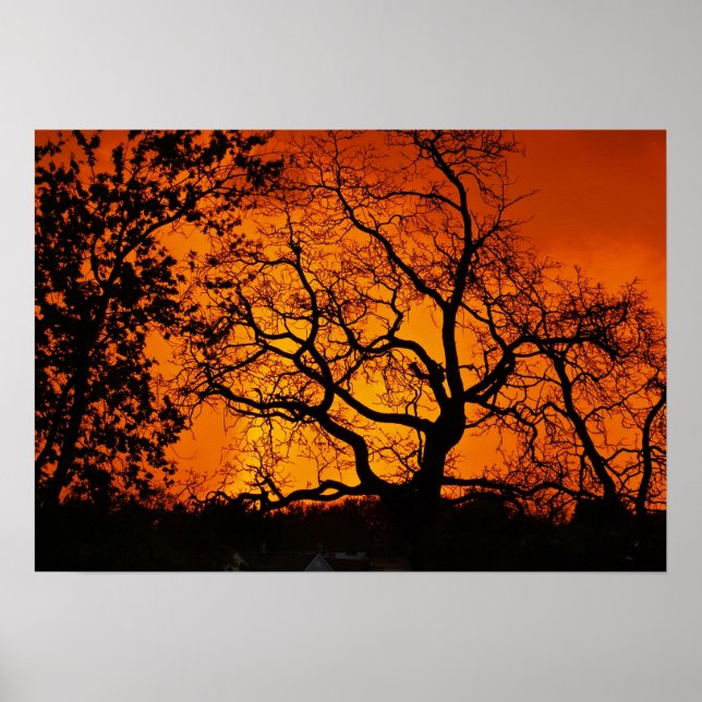 Affiche Coucher de soleil orange (Devant)