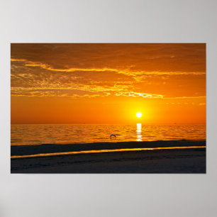 Affiche Coucher de soleil orange Floride