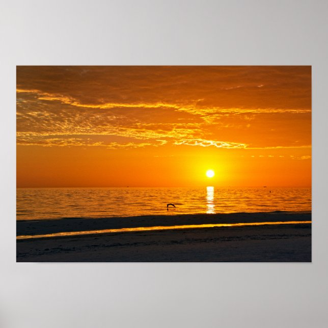 Affiche Coucher de soleil orange Floride (Devant)