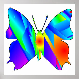 Affiche Coucher de soleil papillon