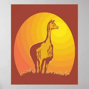 Affiche Coucher de soleil Rétro Llama