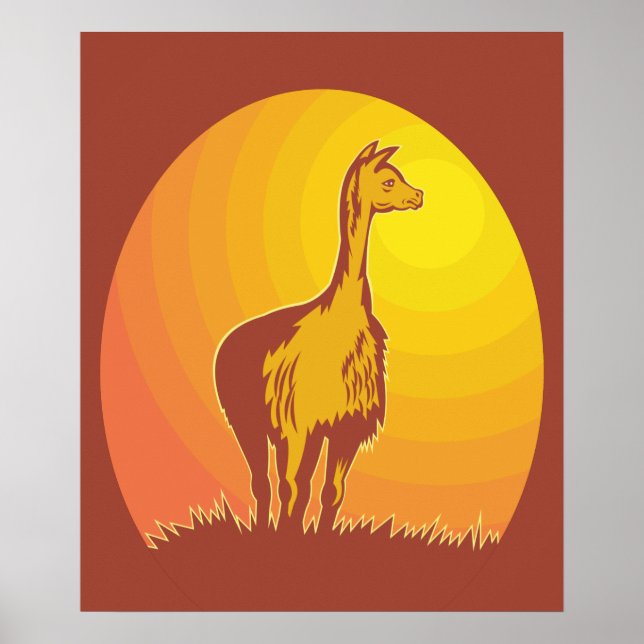 Affiche Coucher de soleil Rétro Llama  (Devant)