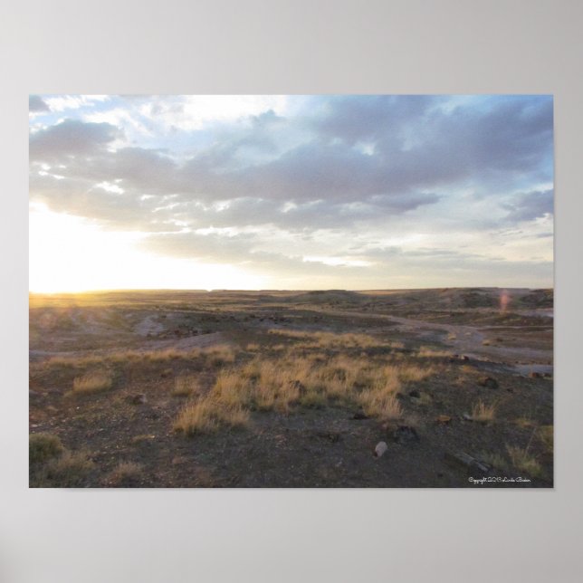 Affiche Coucher de soleil sur la forêt pétrifiée (Devant)