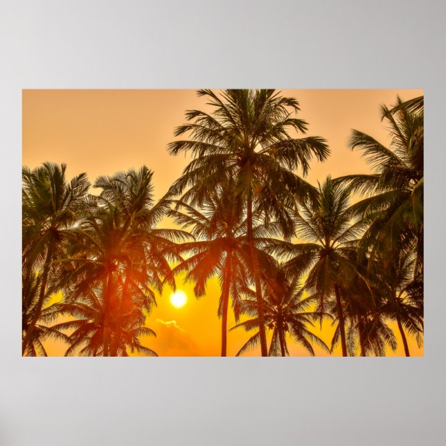 Affiche Coucher de soleil sur la plage du Sri Lanka (Devant)