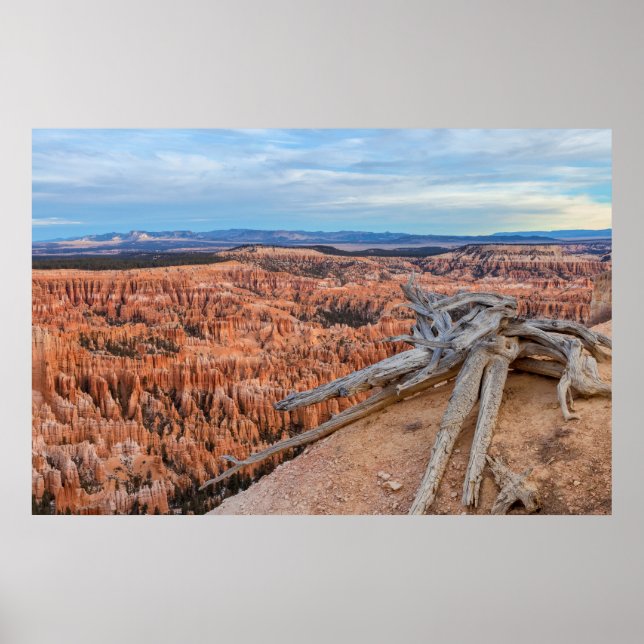 Affiche Coucher de soleil sur le canyon du parc national d (Devant)