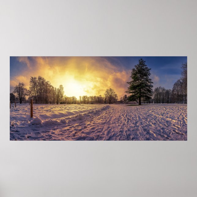 Affiche Coucher de soleil sur le parc d'hiver enneigé (Devant)