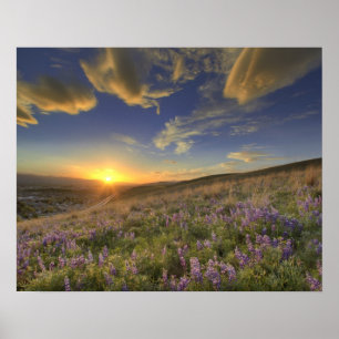 Affiche Coucher de soleil sur les montagnes Bitterroot et 