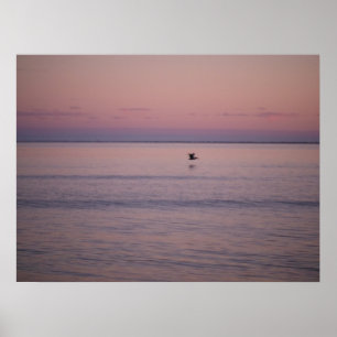 Affiche Coucher de soleil sur l'île de Sullivan