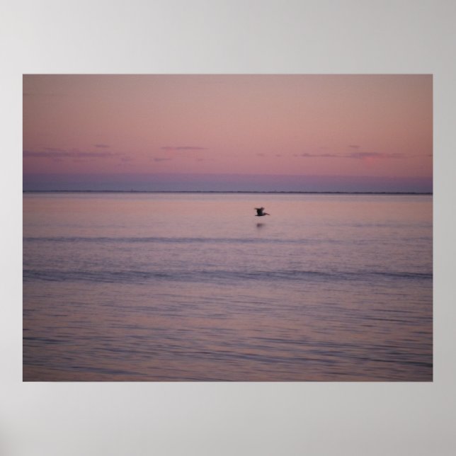 Affiche Coucher de soleil sur l'île de Sullivan (Devant)