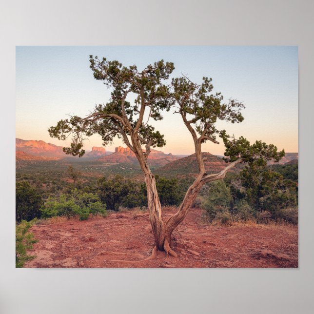 Affiche Coucher de soleil sur Lovers Knoll à Sedona (Devant)