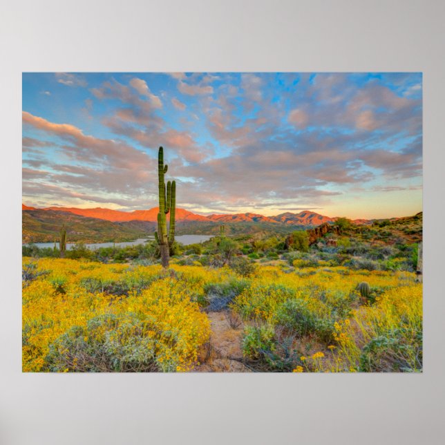 Affiche Coucher de soleil sur paysage désertique (Devant)