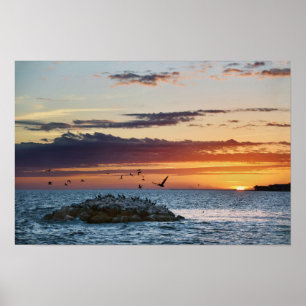 Affiche Coucher de soleil sur Pelican Rock, île Dauphin, A