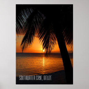 Affiche Coucher de soleil sur un palmier tropical au Beliz