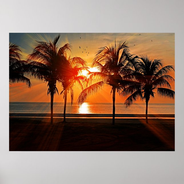 Affiche Coucher de soleil tropical (Devant)