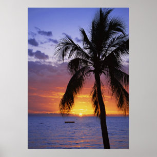 Affiche Coucher de soleil tropical avec palmier