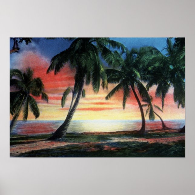Affiche Coucher de soleil tropical de Key West Florida (Devant)