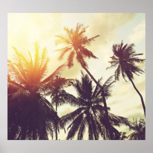 Affiche Coucher de soleil tropical : Palm Silhouette Vinta