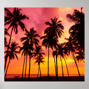 Affiche Coucher de soleil tropical : Silhouette de palme s