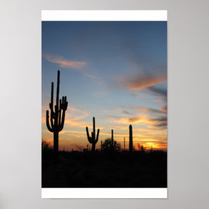 Affiche Coucher du soleil de cactus de Phoenix Arizona