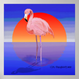 Affiche Coucher du soleil de Flamant rose