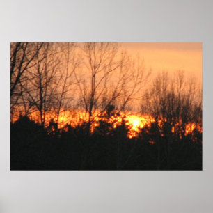 Affiche Coucher du soleil derrière des arbres