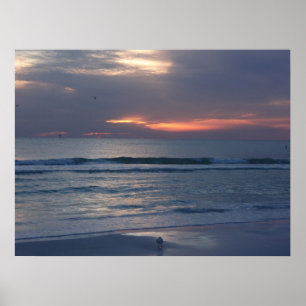 Affiche Couchers de soleil de Siesta Key