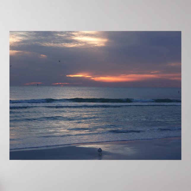 Affiche Couchers de soleil de Siesta Key (Devant)