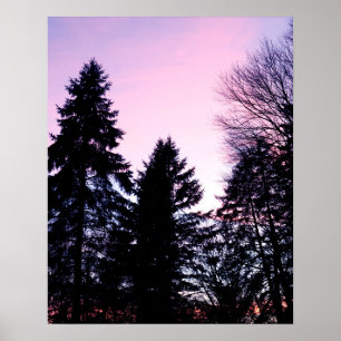 Affiche Couchers de soleil rose violet