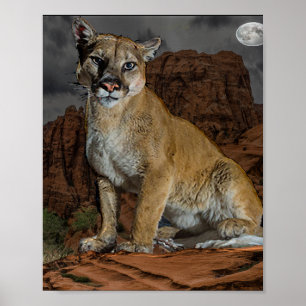Affiche Cougar