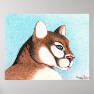 Affiche Cougar #2
