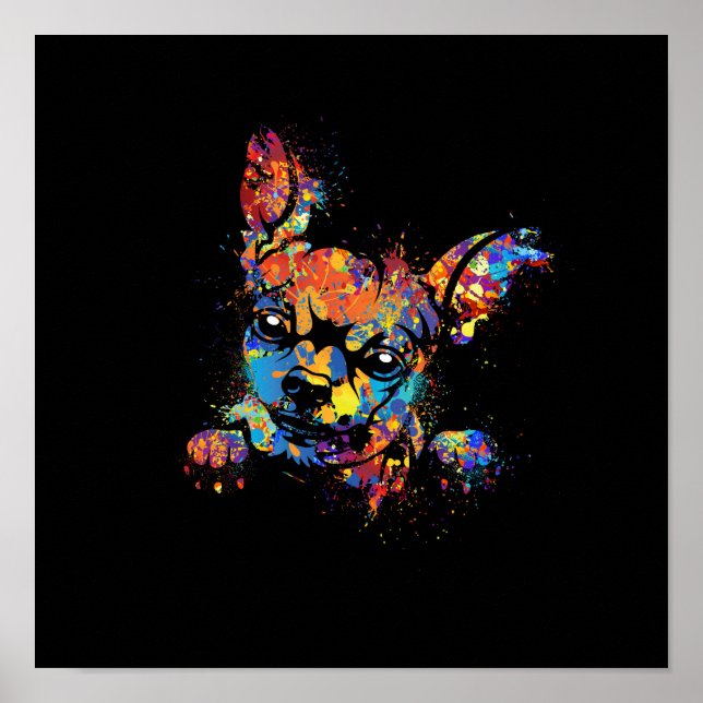 Affiche Couleur Cute Chihuahua (Devant)