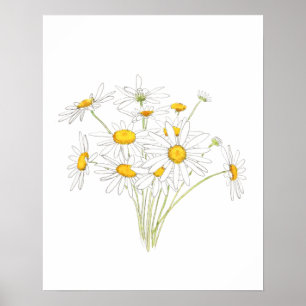 Affiche couleur d'aquarelle blanche petite marguerite bouq