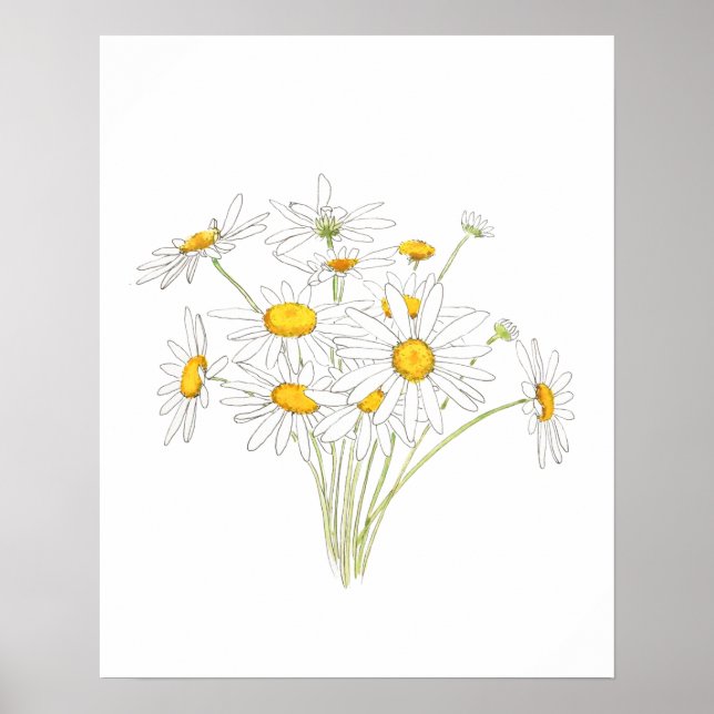 Affiche couleur d'aquarelle blanche petite marguerite bouq (Devant)