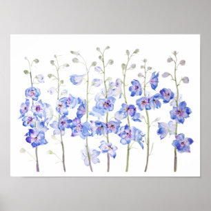 Affiche couleur d'aquarelle du champ de delphinium de lark