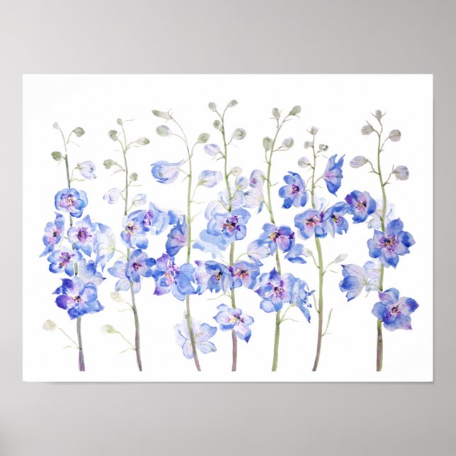 Affiche couleur d'aquarelle du champ de delphinium de lark (Devant)