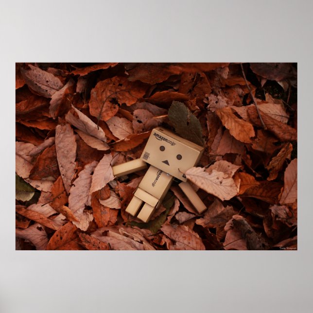 Affiche Couleur d'automne (Devant)