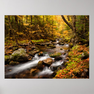 Affiche Couleur d'automne Jefferson Brook   Montagnes blan