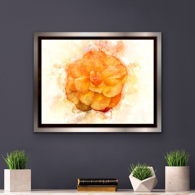 Affiche Couleur de fleur de Begonia - wb2 (Créateur téléchargé)