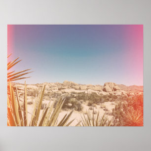 Affiche Couleur Éclairage de fuite à Joshua Tree